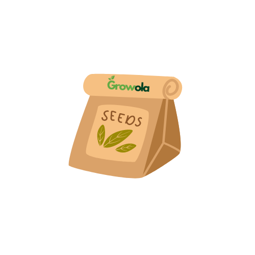 Seeds