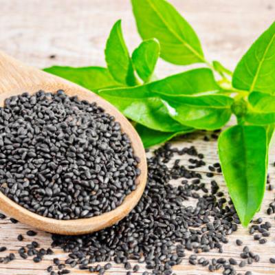 ITALIAN BASIL GREEN SEEDS